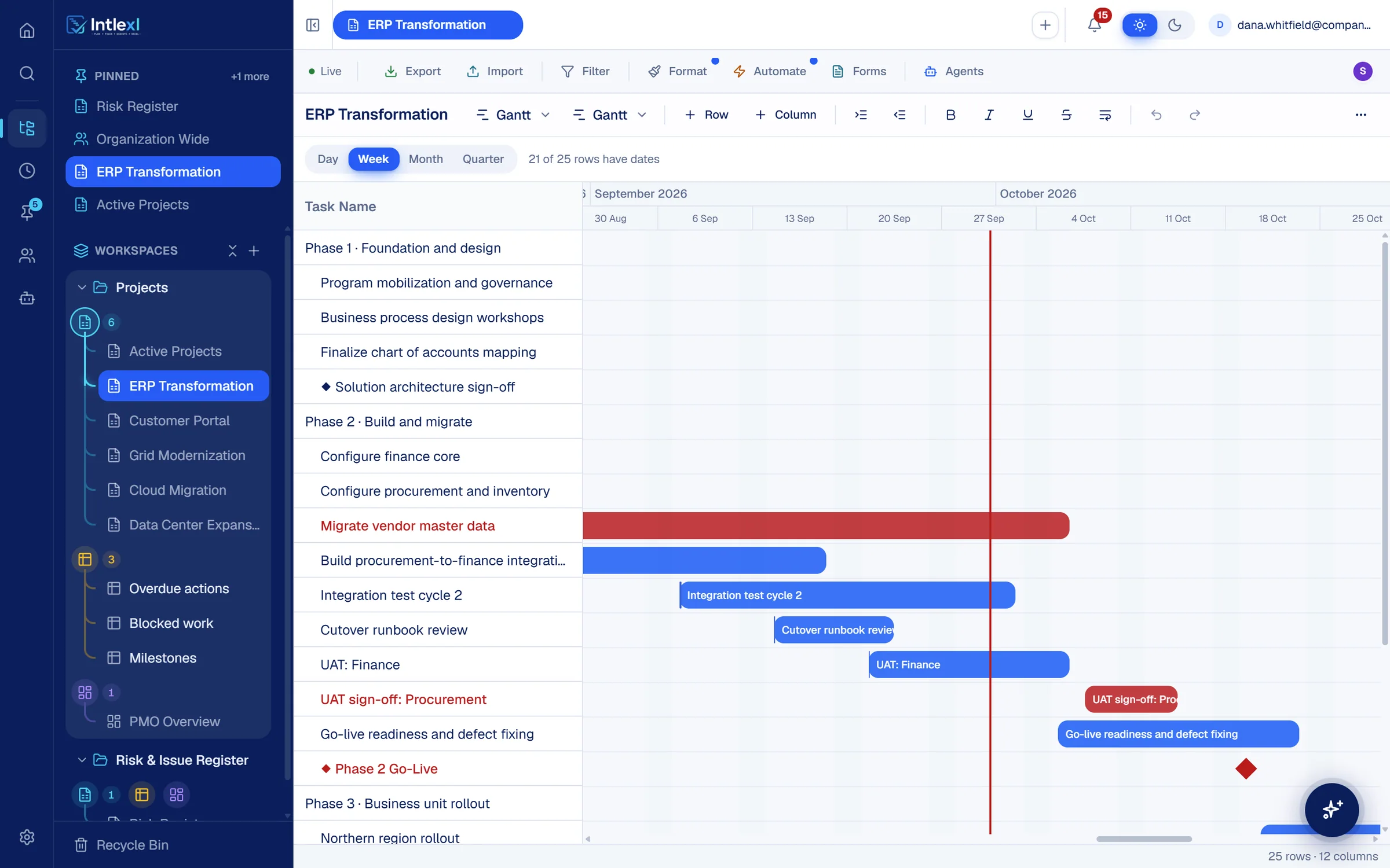 The ERP Transformation plan as a Gantt chart with critical tasks in red, milestones as diamonds and a line for today.